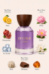 ZEVOUR (4)
