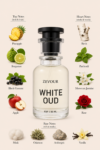 zevour fragrances (37)